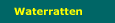 waterratten